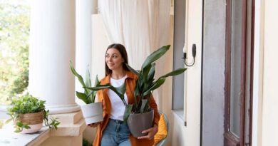 Ter plantas em varandas ou terraços traz vida e cor para esses espaços.