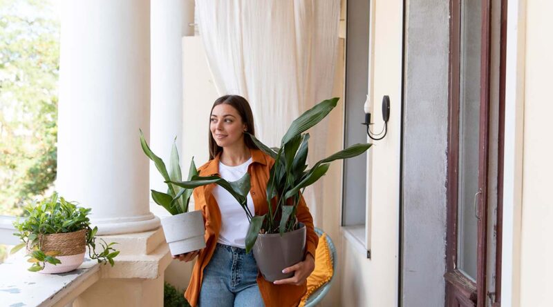 Ter plantas em varandas ou terraços traz vida e cor para esses espaços.