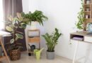 Decoração com Plantas Artificiais e Naturais