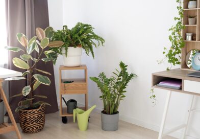 Decoração com Plantas Artificiais e Naturais
