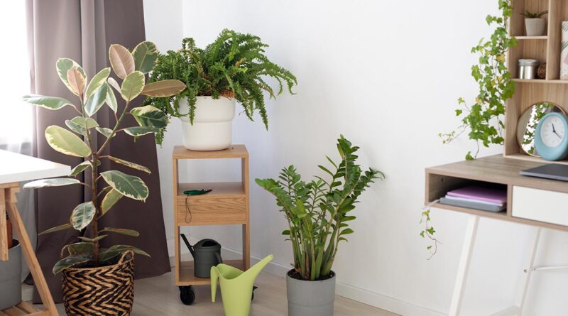 Decoração com Plantas Artificiais e Naturais