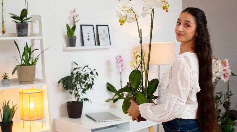 Como cultivar plantas em apartamento: guia definitivo